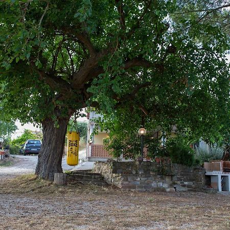 Casa Vacanze Diamante Ogliastro Cilento Exterior photo